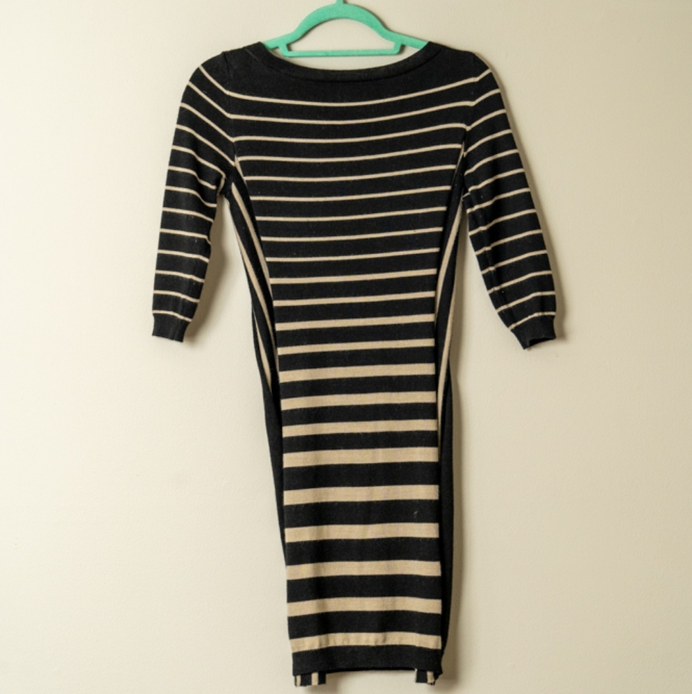 Ann Taylor Striped Fitted Dress